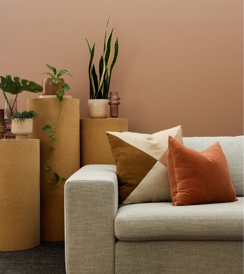 A tidy living room with a sofa and plants